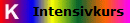 Intensivkurs