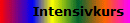 Intensivkurs