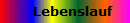 Lebenslauf