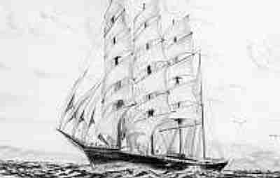 8019 Viermastbark Passat